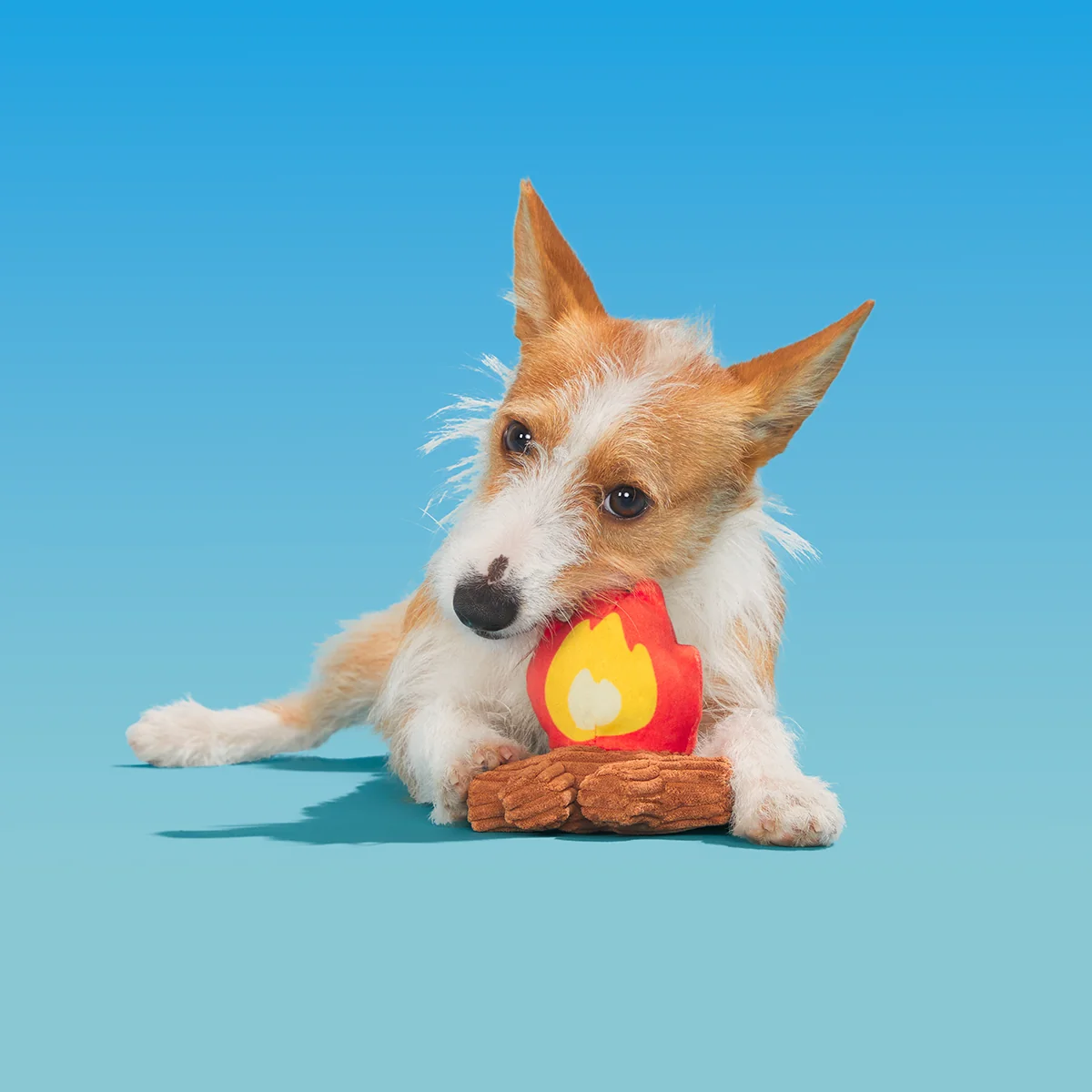 A'Hound the Campfire Plush Tug Dog Toy - Image 4