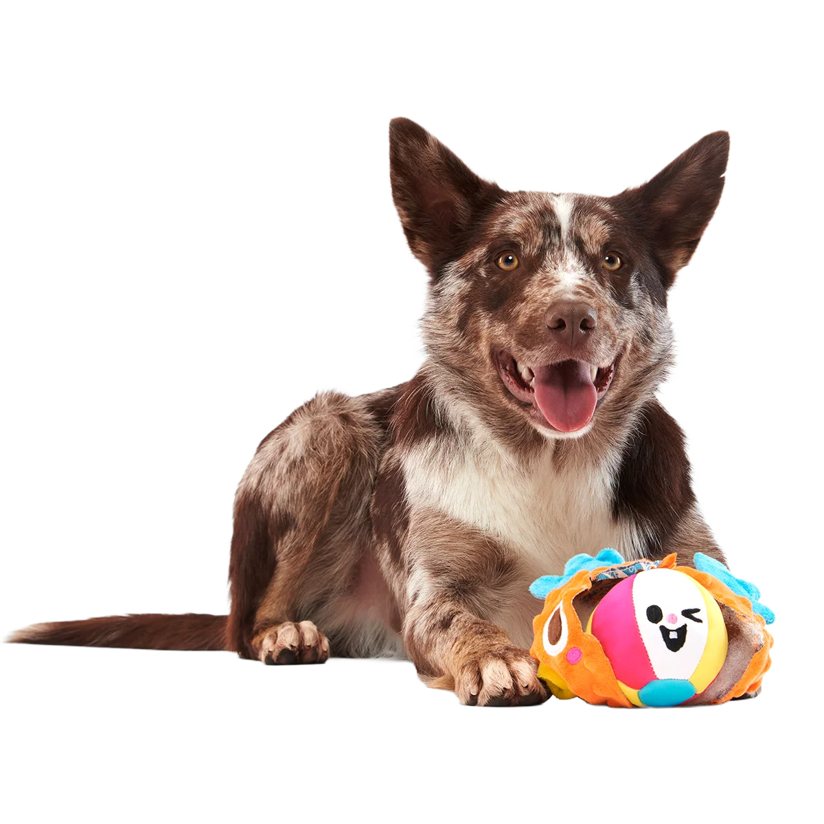 Air Head Plush 2-in-1 + Fetch Dog Toy - Image 5