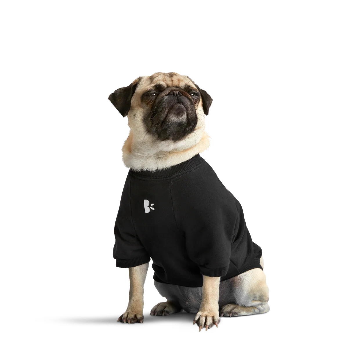 Anti-Squirrel Squirrel Club Dog Sweatshirt - Image 5