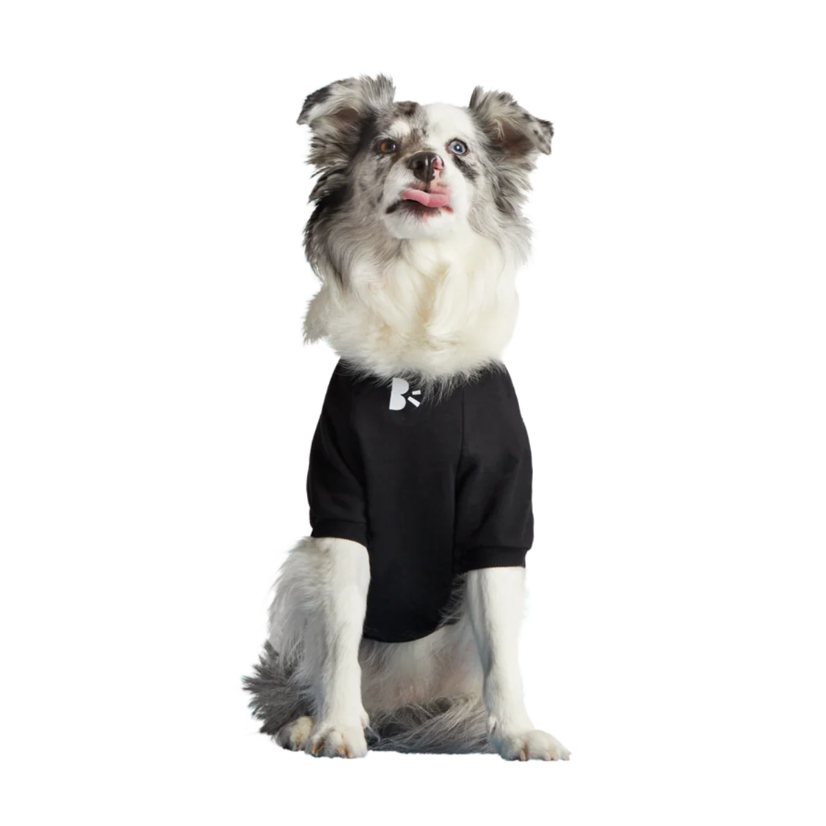Anti-Squirrel Squirrel Club Dog Sweatshirt - Image 7