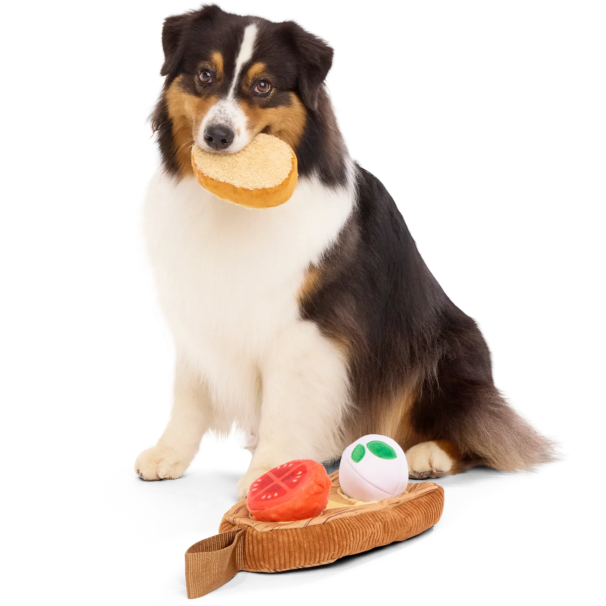 Antipawsto Board Plush Multi-Part + Enrichment Dog Toy - Image 3