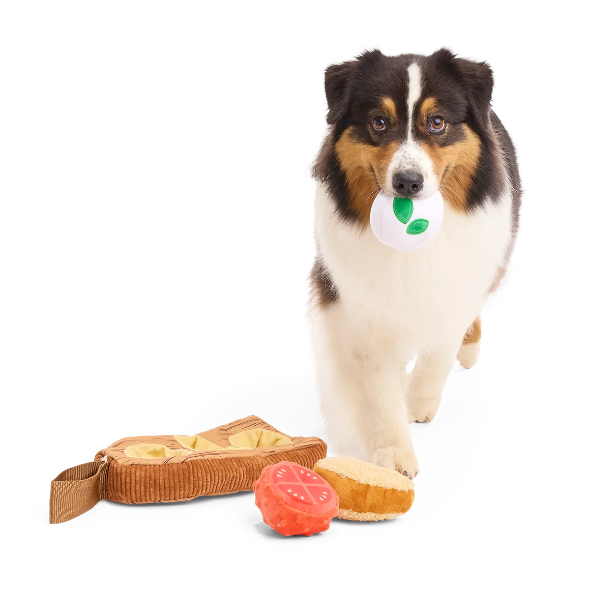 Antipawsto Board Plush Multi-Part + Enrichment Dog Toy - Image 4