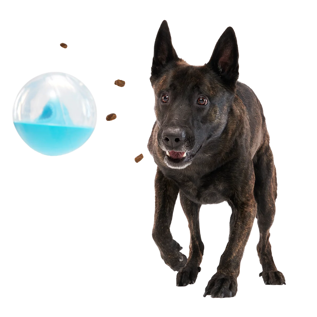 Apex Puzzler Super Chewer Durable Enrichment + Fetch Dog Toy - Image 4