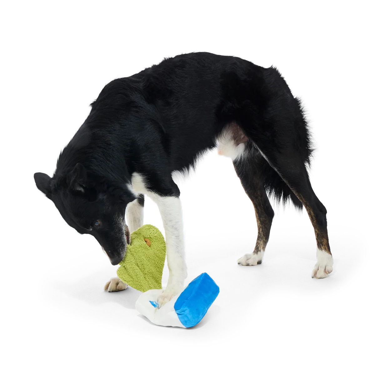 Arf Bag Plush Tug + Enrichment Dog Toy - Image 2