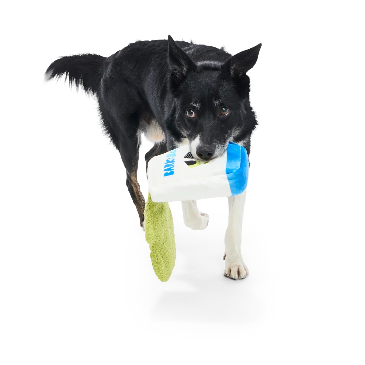 Arf Bag Plush Tug + Enrichment Dog Toy - Image 5