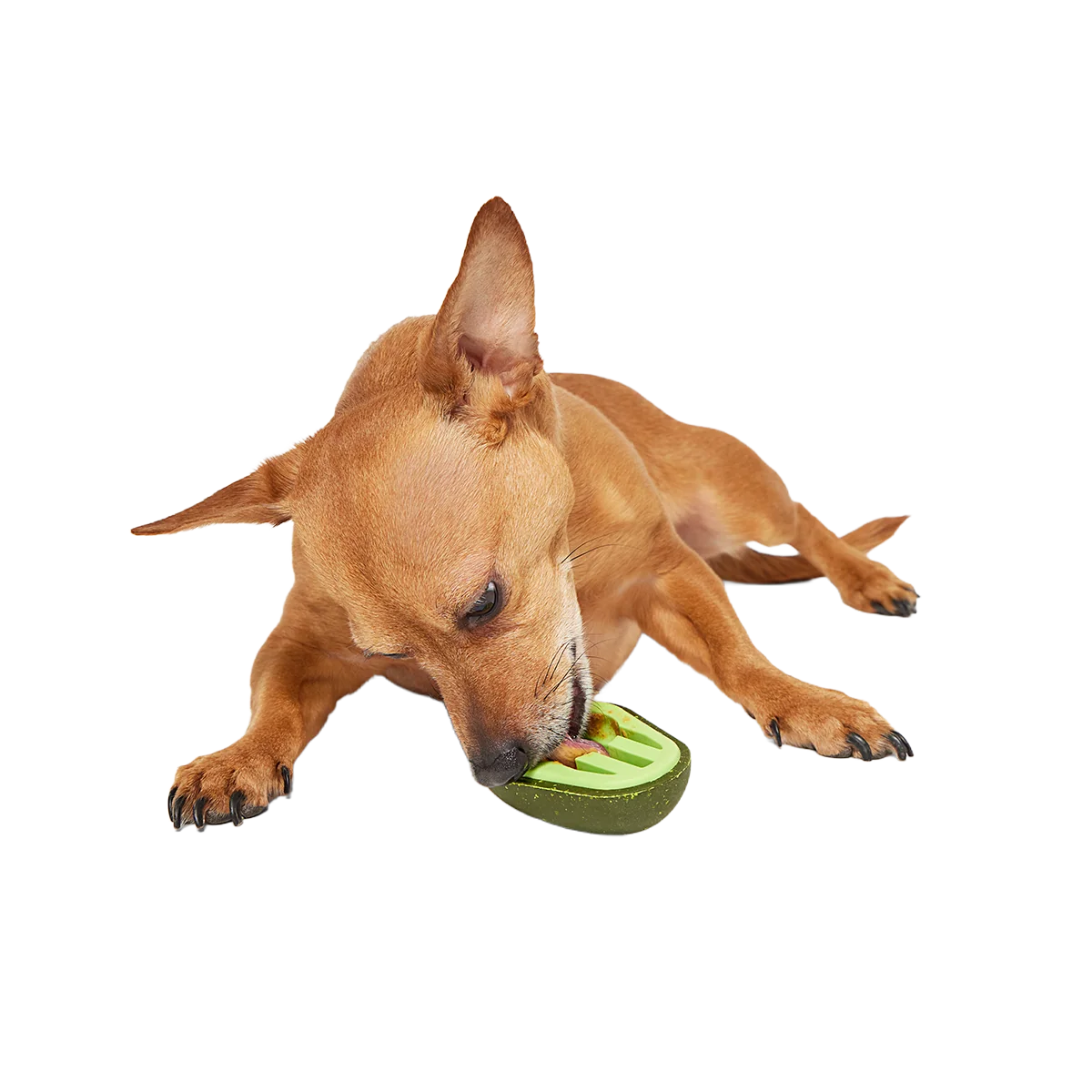 Avocadoggo Super Chewer Durable Enrichment Dog Toy - Image 3