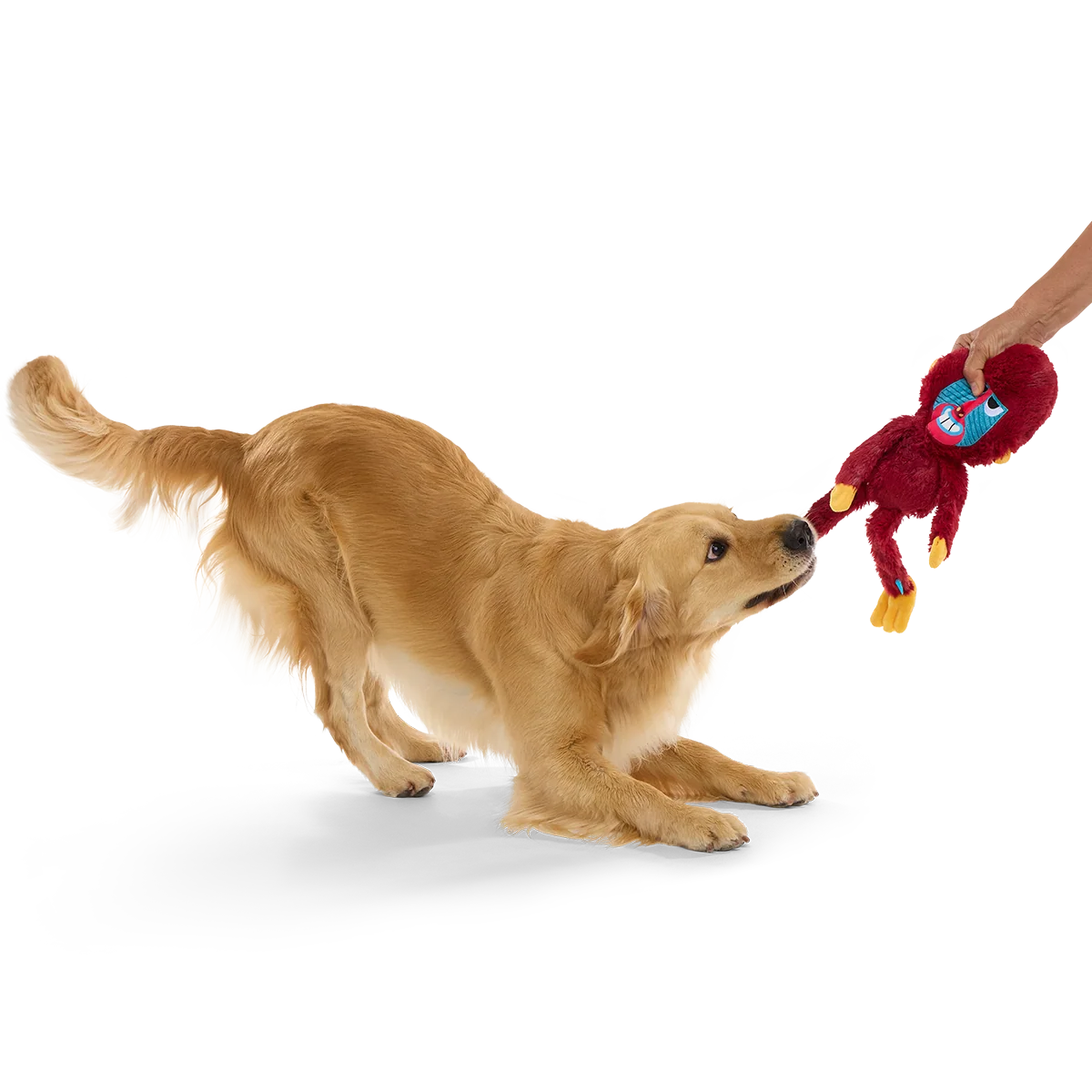 Babu Baboon Plush Extra-Large + Tug Dog Toy - Image 3