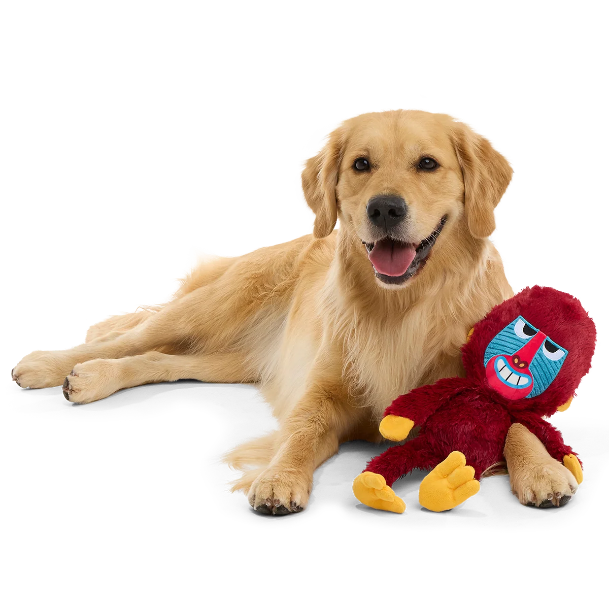 Babu Baboon Plush Extra-Large + Tug Dog Toy - Image 4
