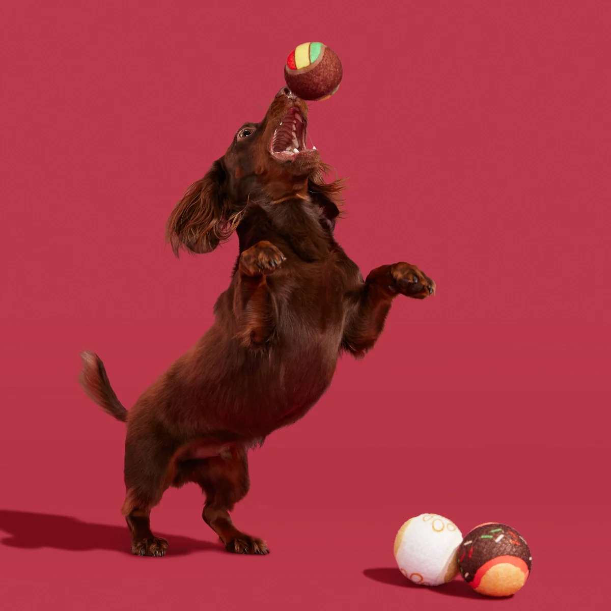 Ballscoti Cookies Plush Multi-Part Fetch Dog Toy - Image 6