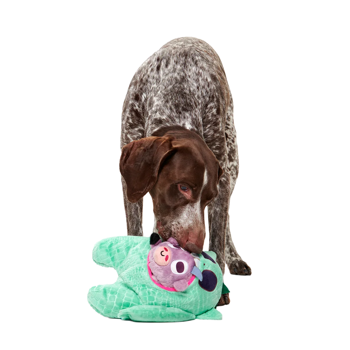 Barbara Chupacabra Plush + Multi-Part Enrichment + Tug Dog Toy - Image 6