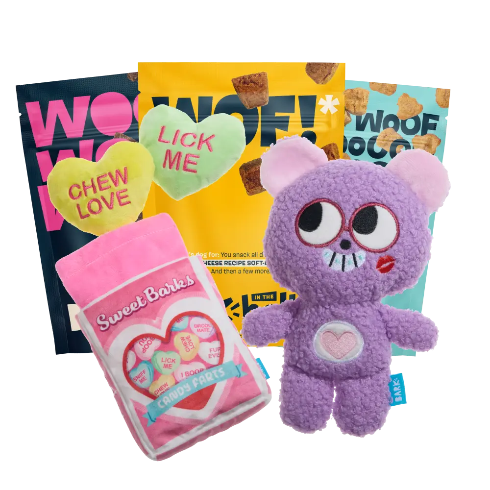 BARK 6 Month Subscription - FREE Extra Treats - Image 5