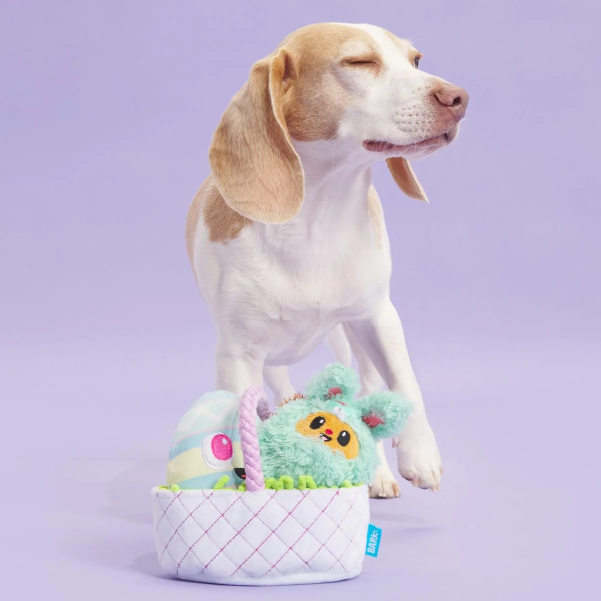 BARK Easter Bundle Plush Multi-Part + Tug + Enrichment Dog Toy - Image 3