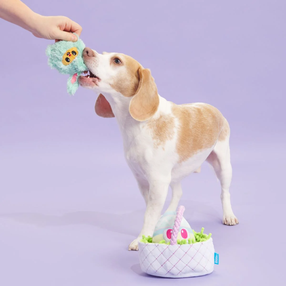 BARK Easter Bundle Plush Multi-Part + Tug + Enrichment Dog Toy - Image 4