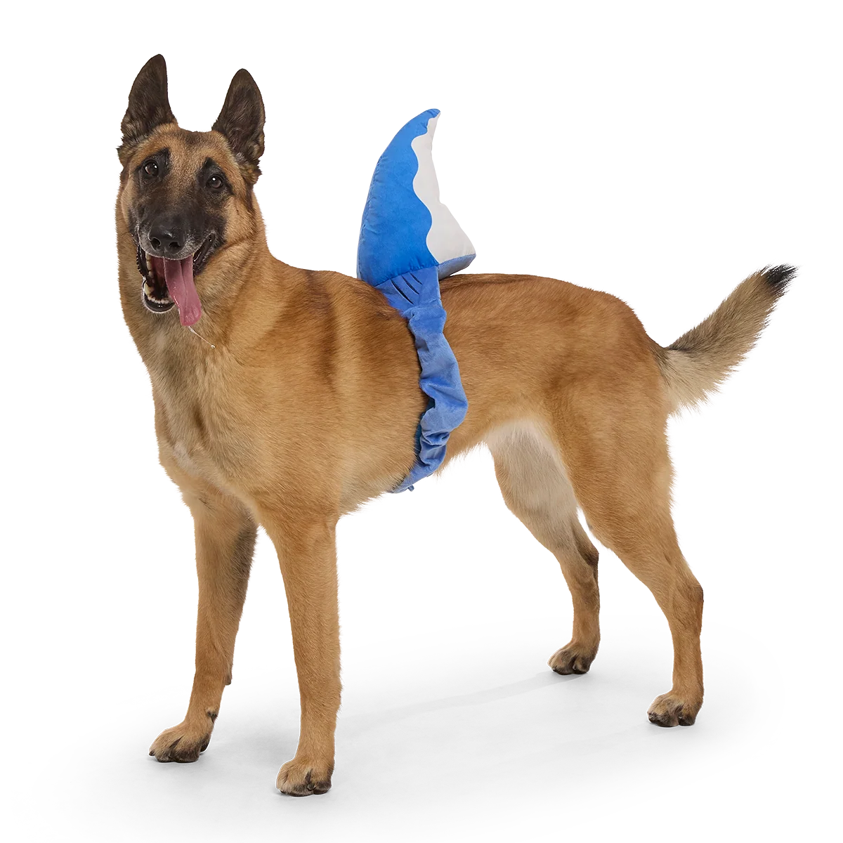 Bark Fin Plush Tug + Wearable Dog Toy - Image 3