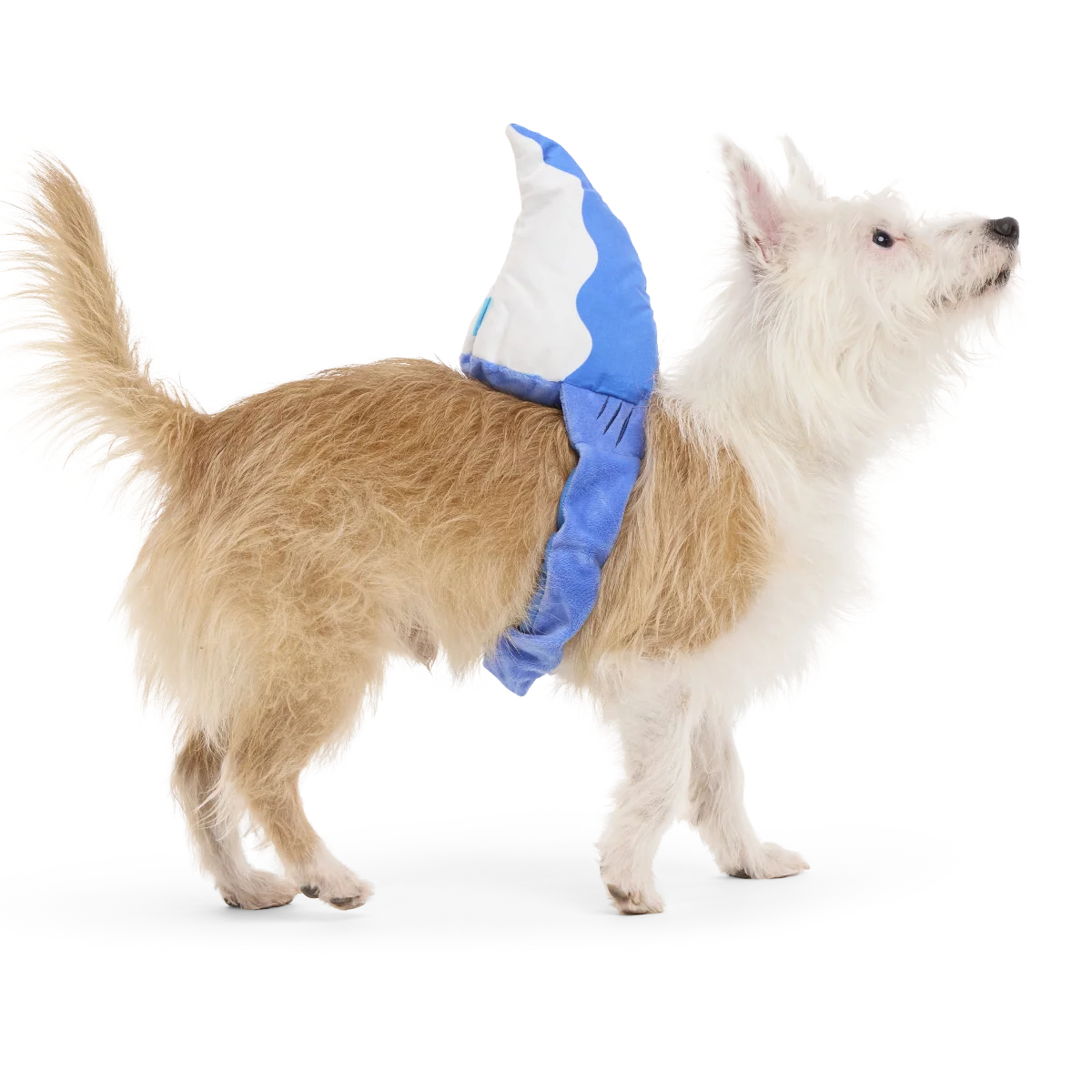 Bark Fin Plush Tug + Wearable Dog Toy - Image 4