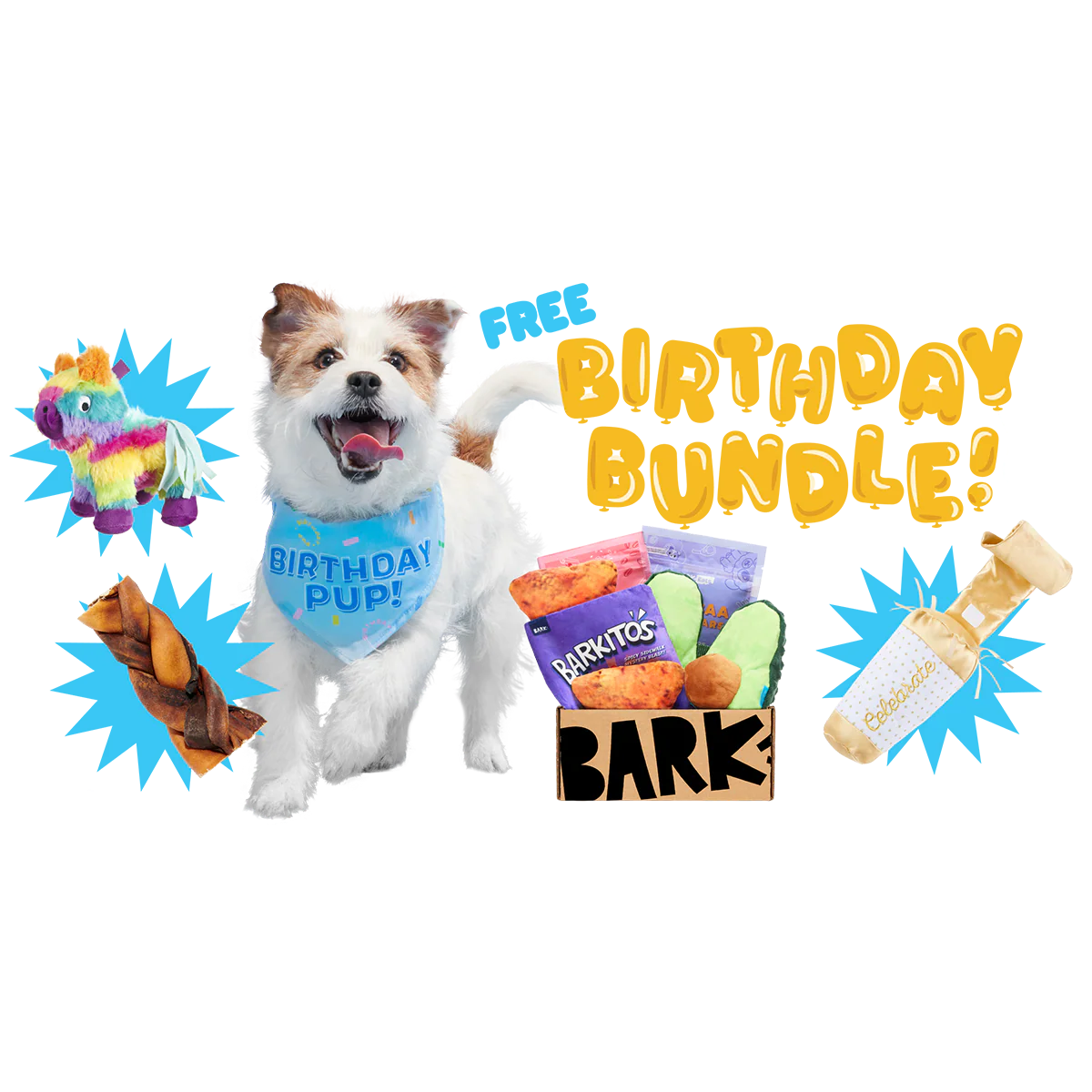 BarkBox Birthday Bundle
