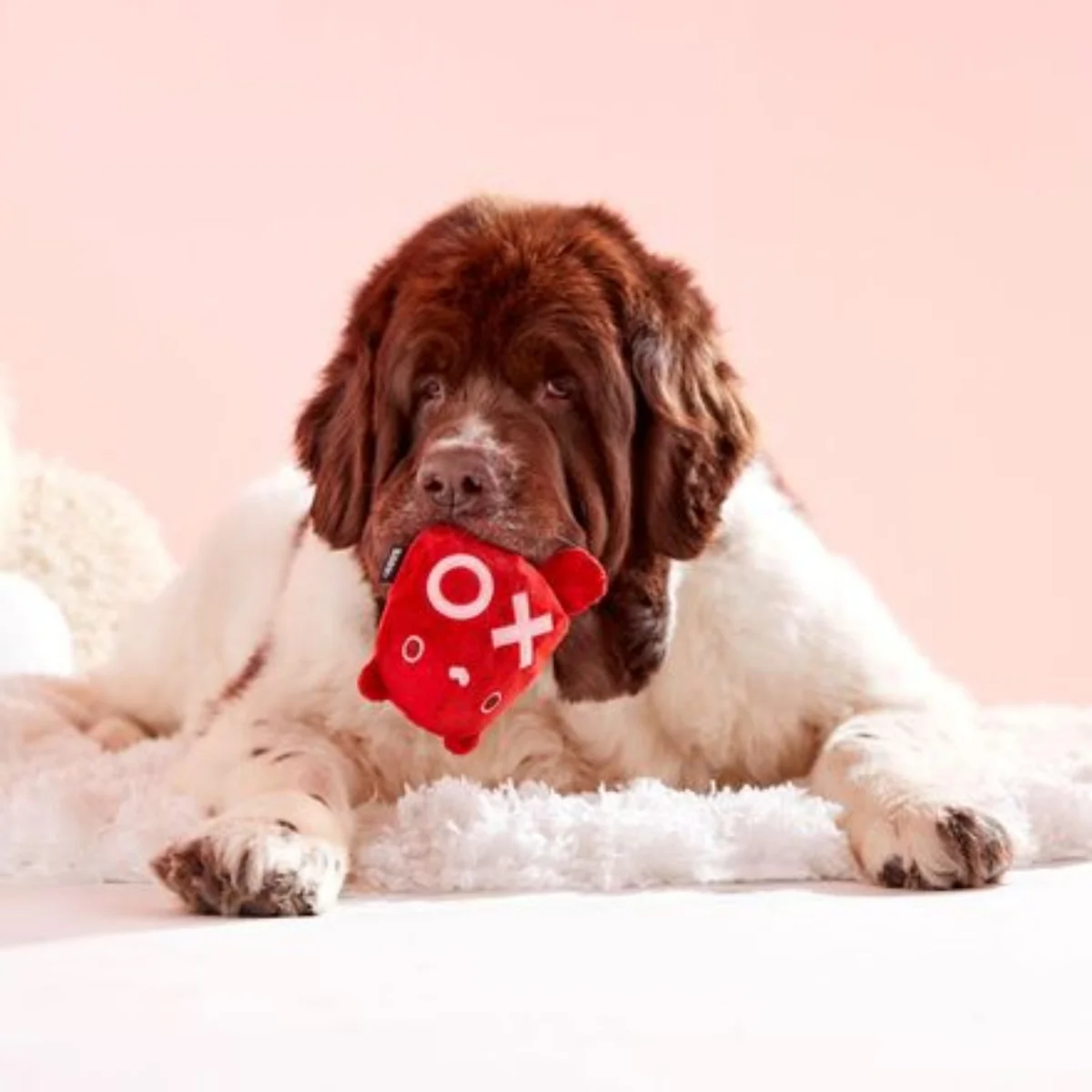 Bear Hugger Durable Super Chewer 2-in-1 Rip and Reveal + Enrichment Dog Toy - Image 5
