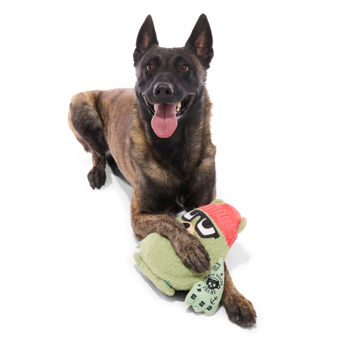 Bearista Plush Extra-Large + Tug Dog Toy