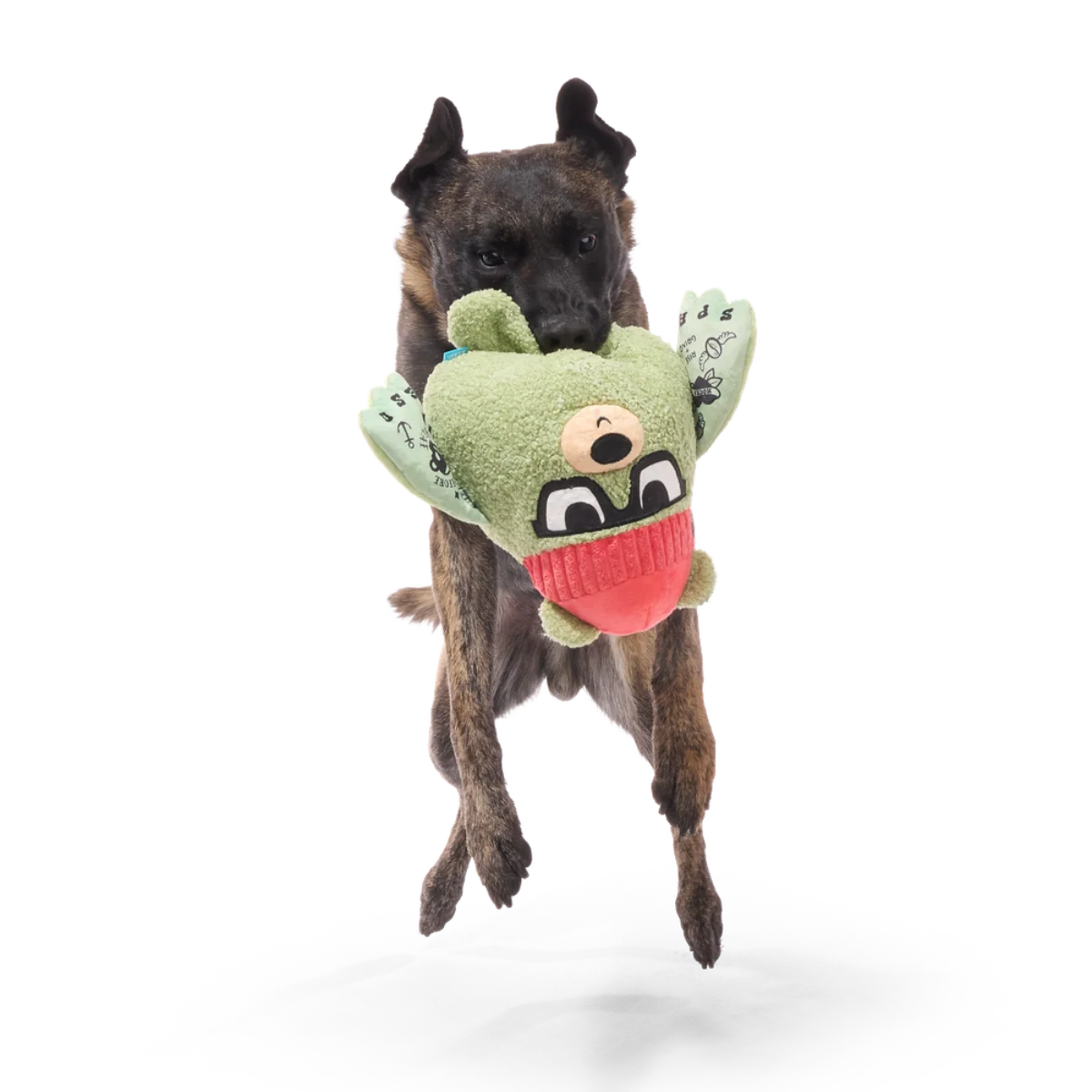Bearista Plush Extra-Large + Tug Dog Toy - Image 3