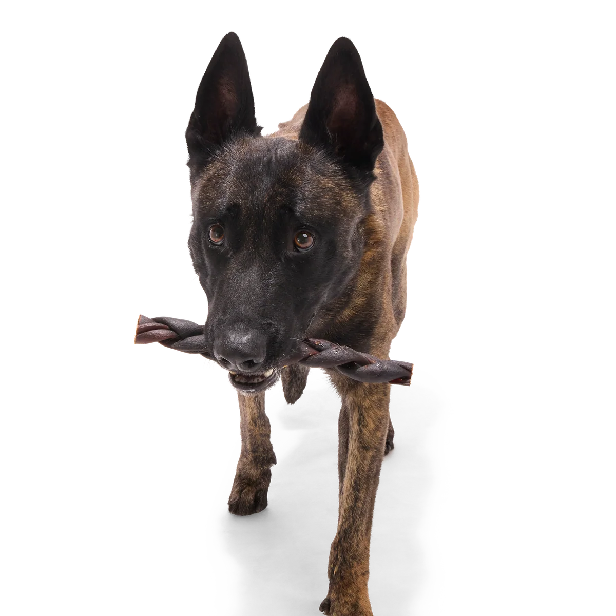 Beef Braided Collagen Dog Chews, 5 Ct - Image 12