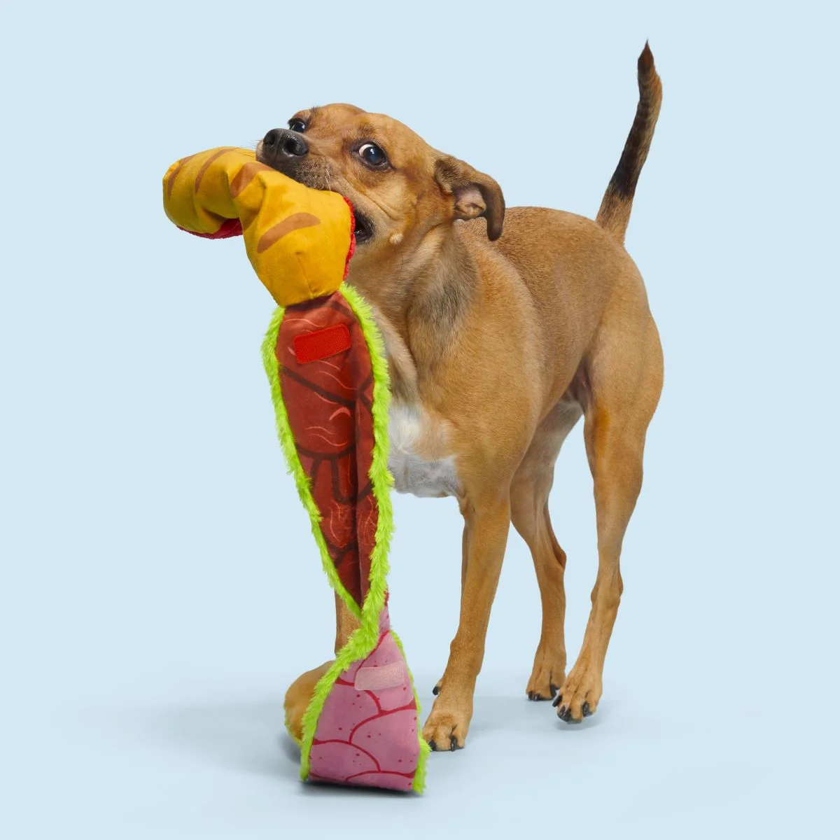 Big Bite Hoagie Plush Extra-Large + Tug Dog Toy - Image 4