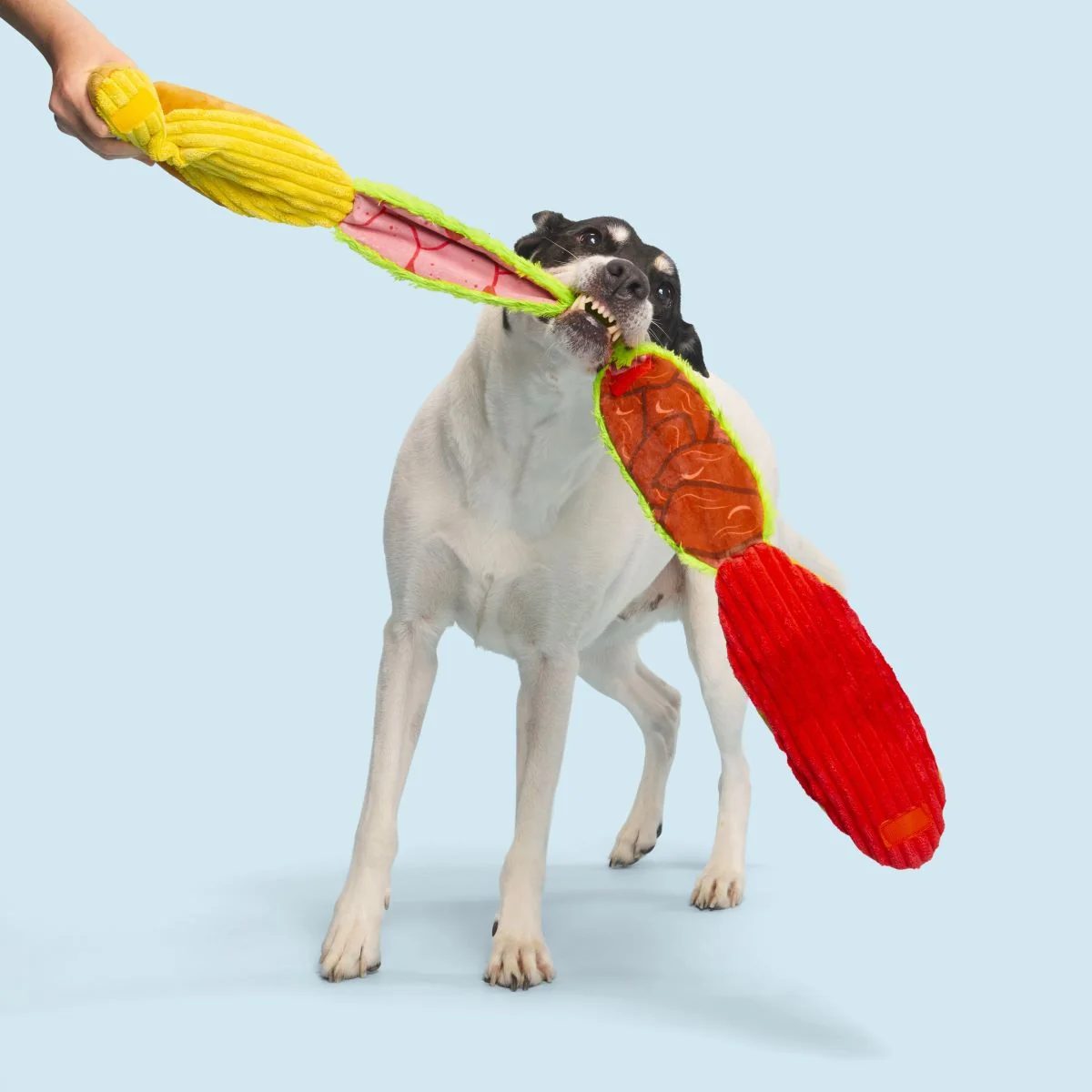 Big Bite Hoagie Plush Extra-Large + Tug Dog Toy - Image 5
