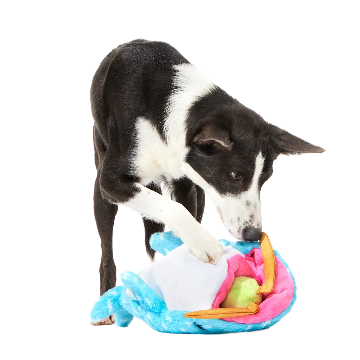 Big Mark The Whale Shark Plush Extra Large + Multi-Part Dog Toy - Image 3
