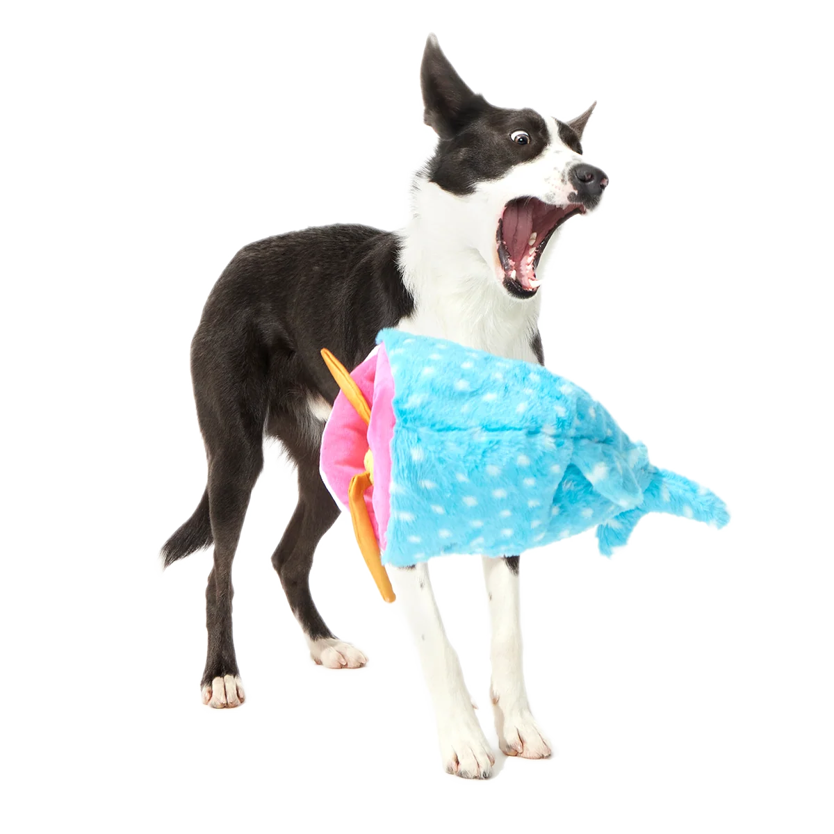 Big Mark The Whale Shark Plush Extra Large + Multi-Part Dog Toy - Image 4