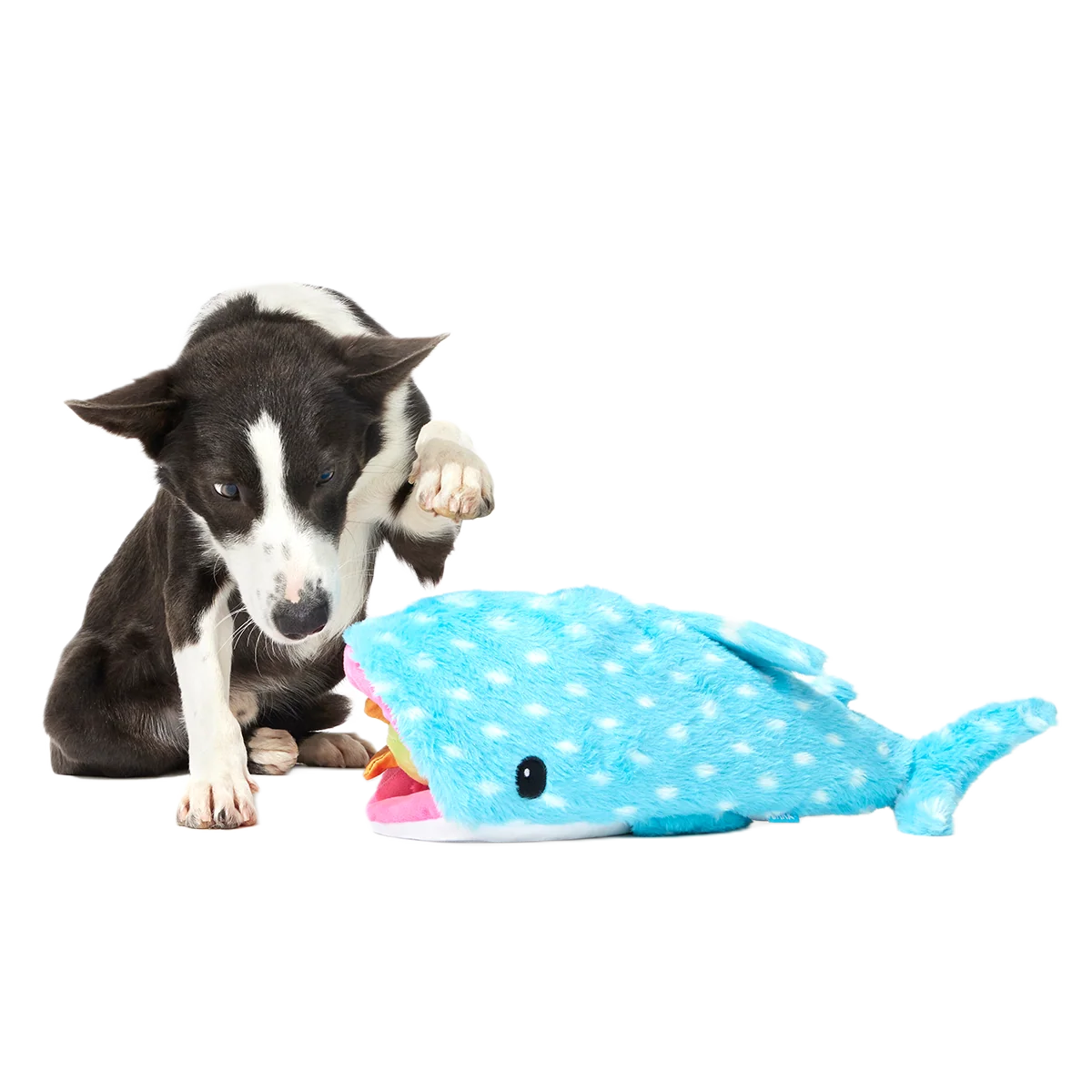 Big Mark The Whale Shark Plush Extra Large + Multi-Part Dog Toy - Image 5