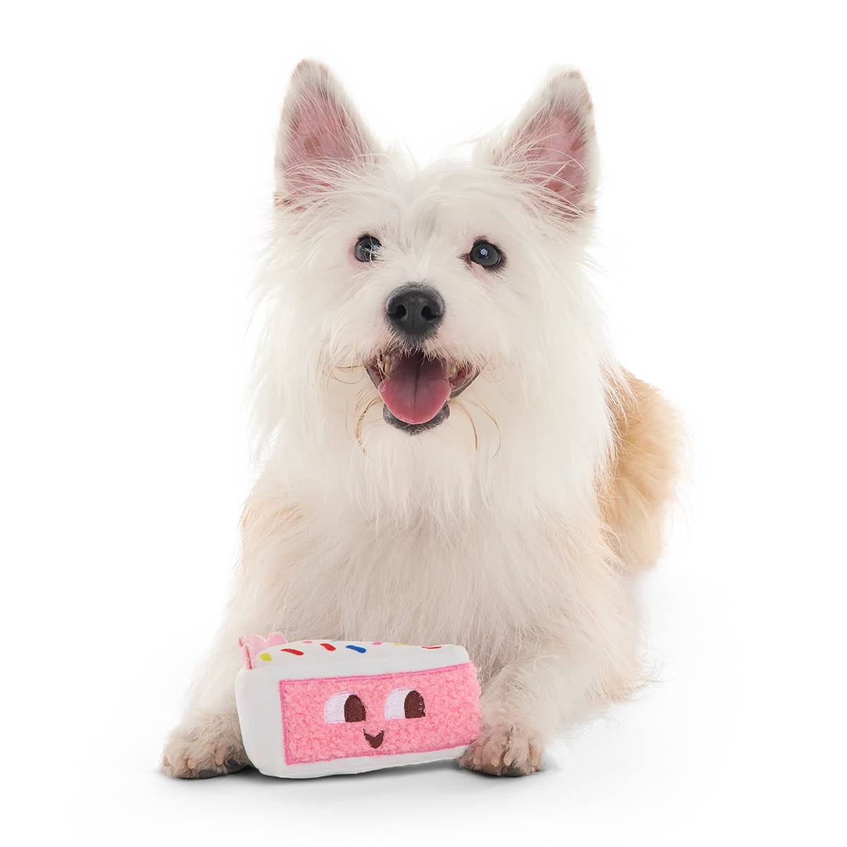 Birthday Kate Plush Tug Dog Toy - Image 5