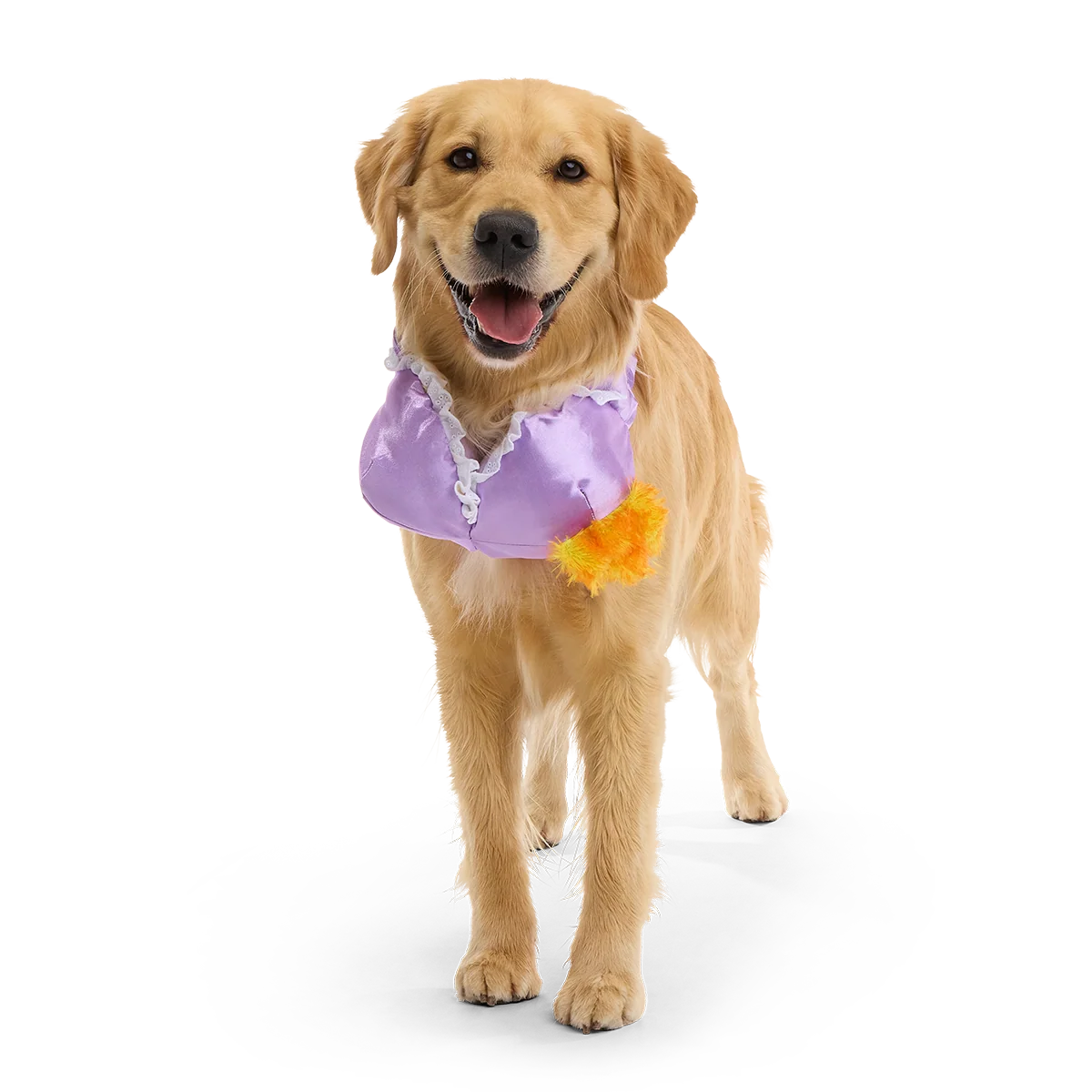 Bite the Patriarchy Plush Tug Dog Toy - Image 3