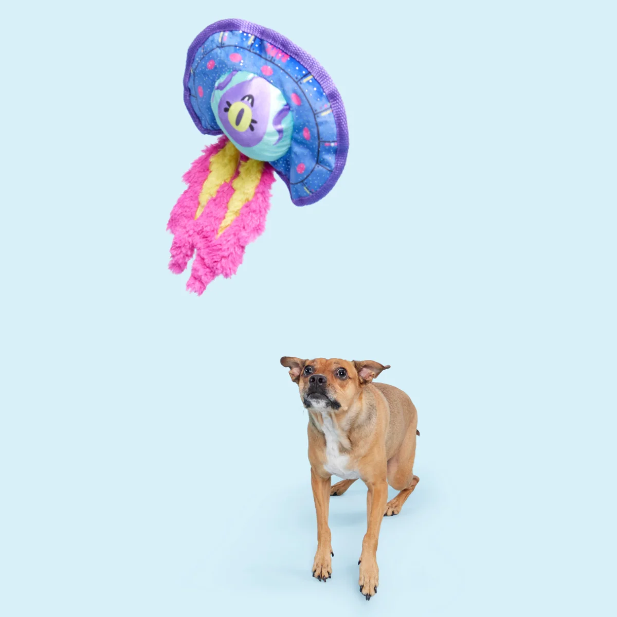 Blast Arf! Plush Tug Dog Toy - Image 4