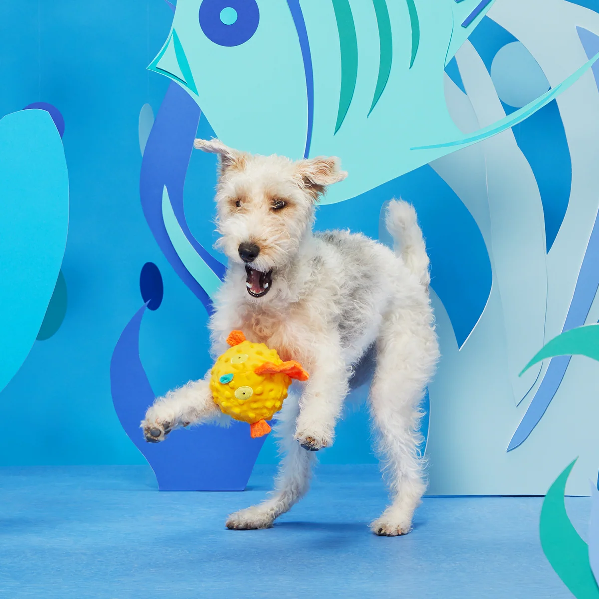 Bloated Barry the Blowfish Plush Fetch Dog Toy - Image 3