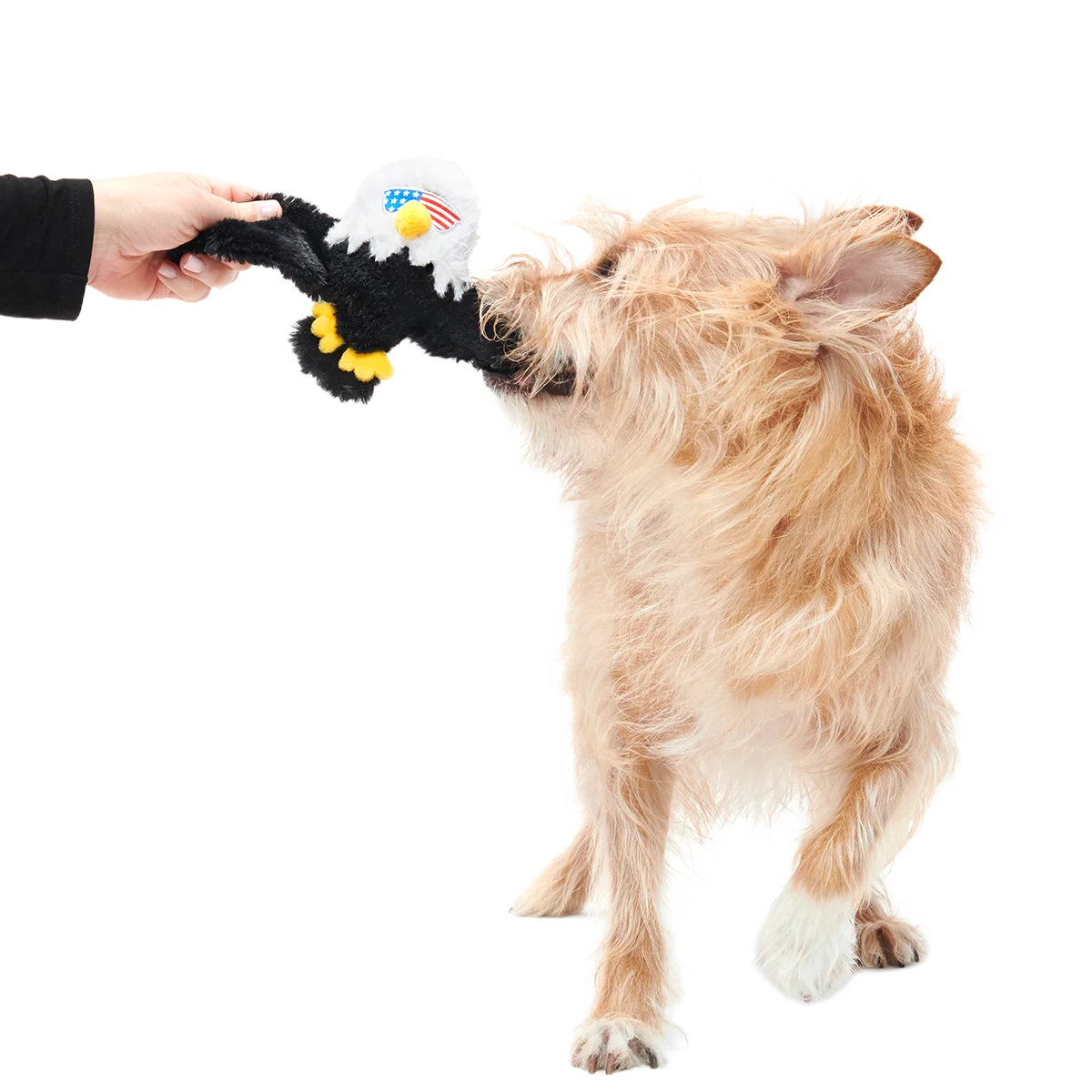 Bold Eagle Plush Tug Dog Toy - Image 2