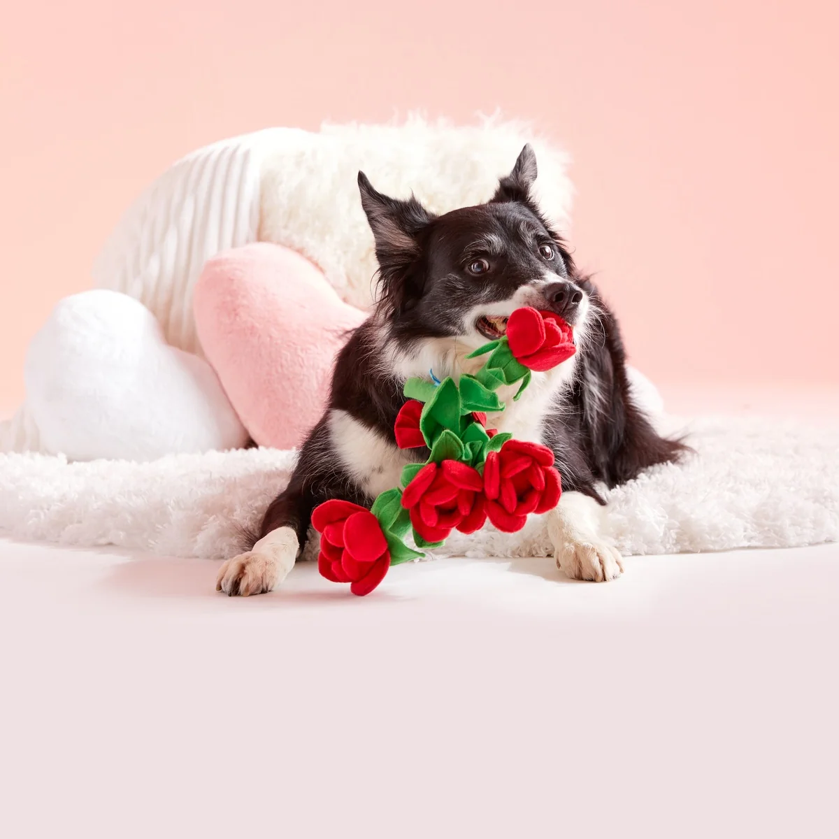 Bouquet of Roses Plush Multi-Part + Tug Dog Toy - Image 4