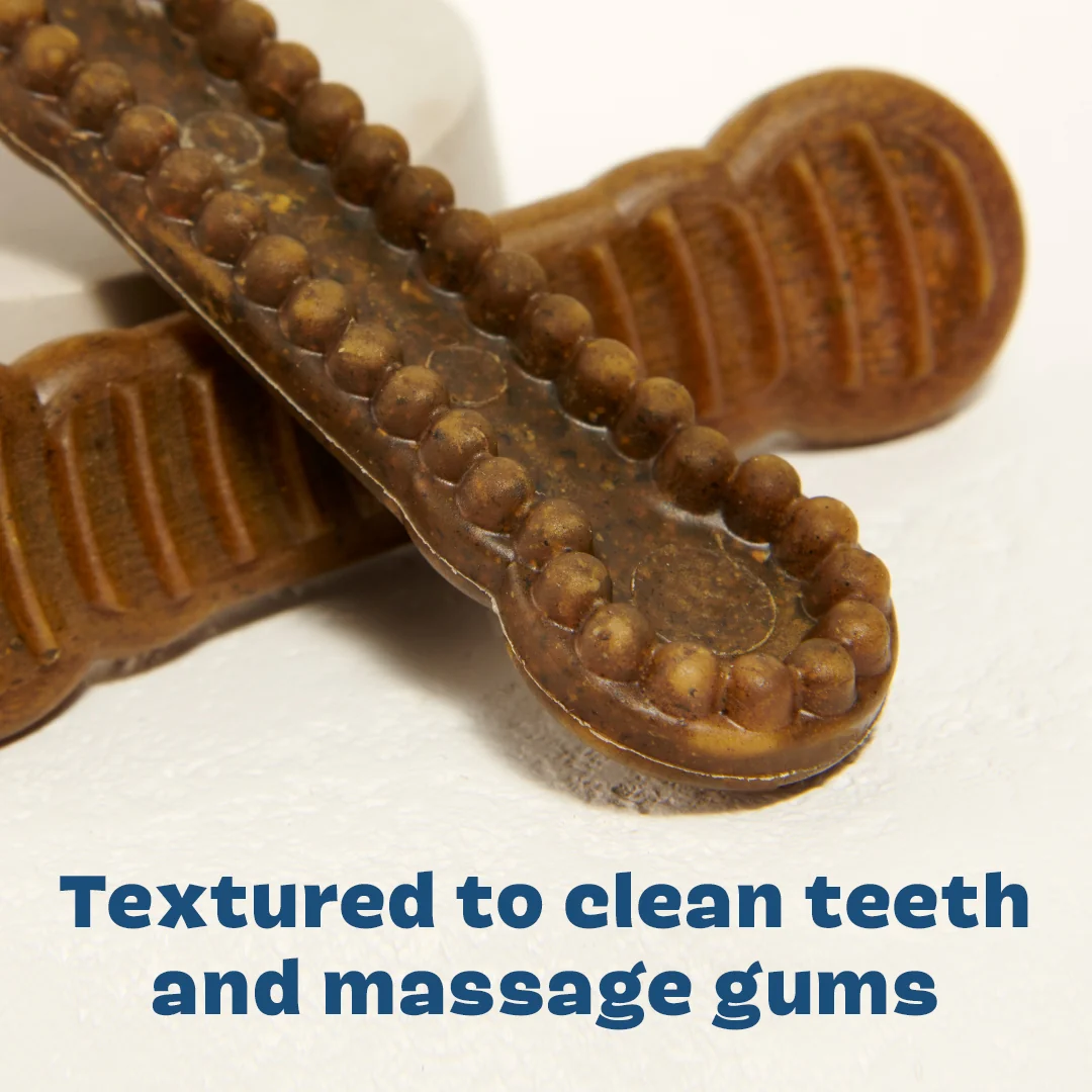 Bright Durable Dental Chews, 15 Ct - Image 7