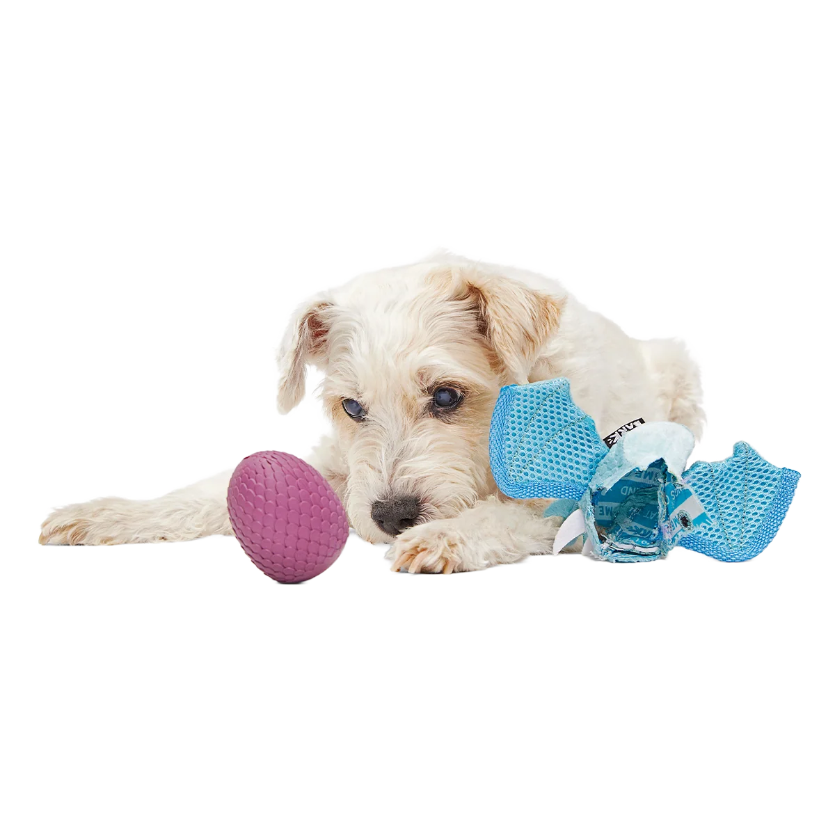 Brrrtha The Dragon Super Chewer Durable 2-in-1 + Tug + Fetch Dog Toy - Image 2