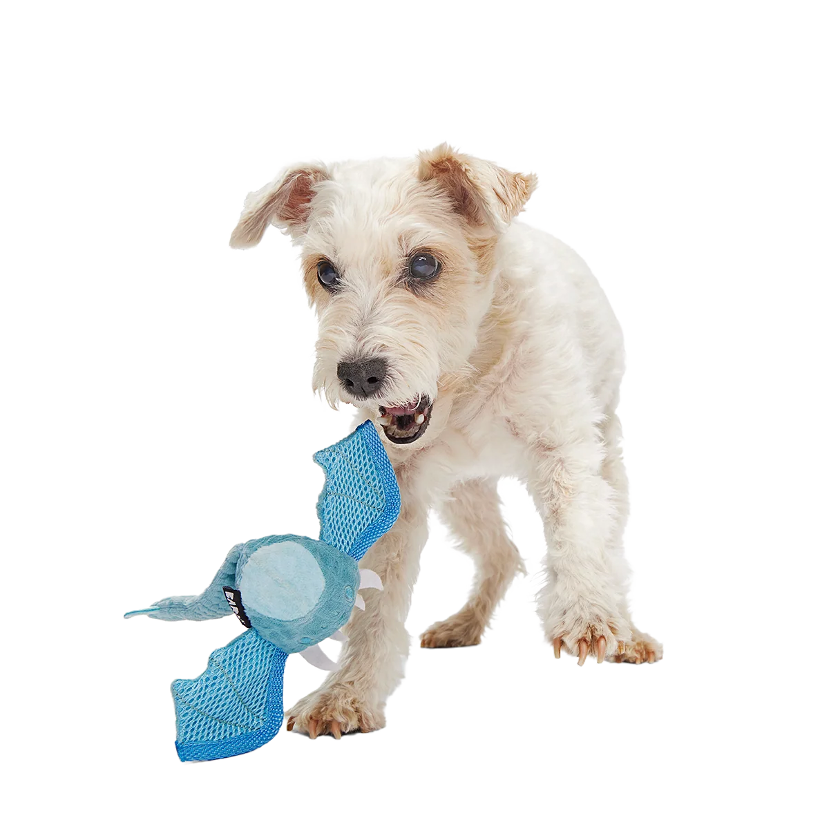 Brrrtha The Dragon Super Chewer Durable 2-in-1 + Tug + Fetch Dog Toy - Image 3