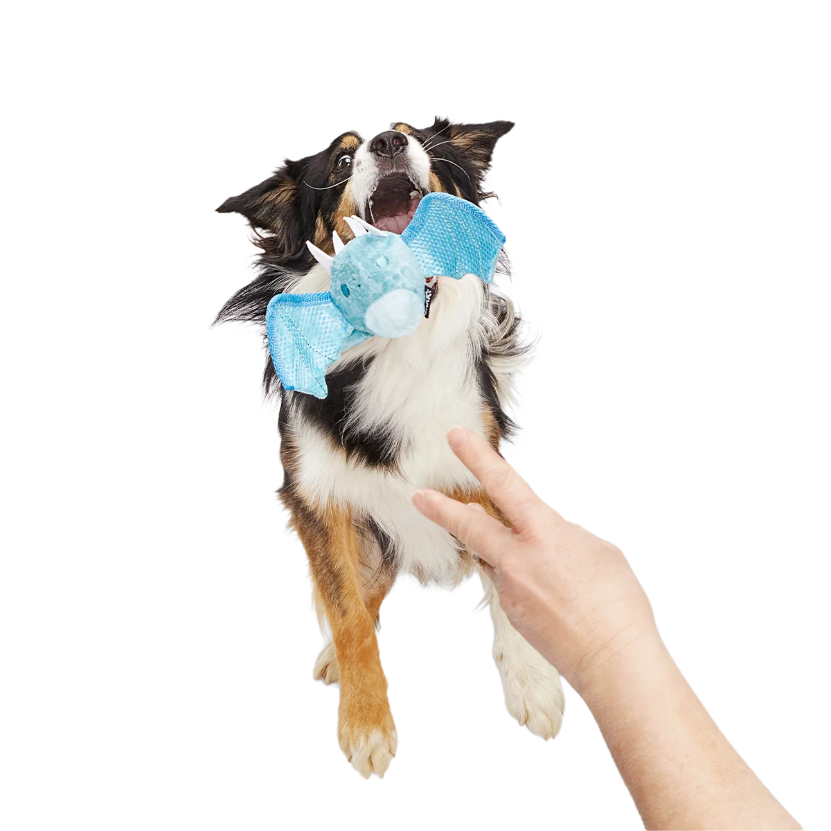 Brrrtha The Dragon Super Chewer Durable 2-in-1 + Tug + Fetch Dog Toy - Image 4