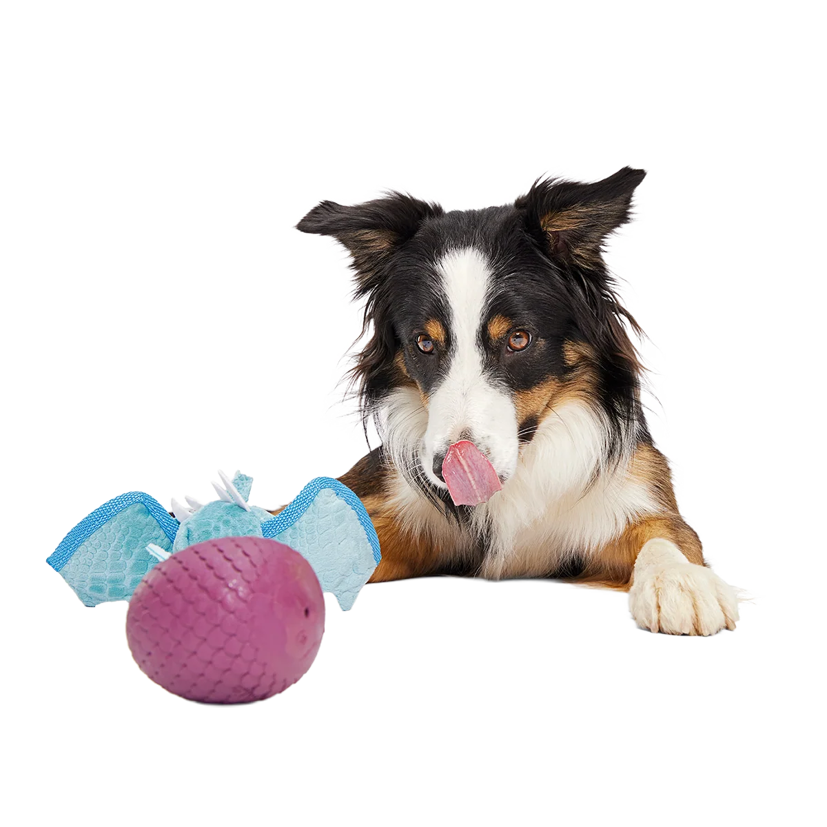 Brrrtha The Dragon Super Chewer Durable 2-in-1 + Tug + Fetch Dog Toy - Image 5