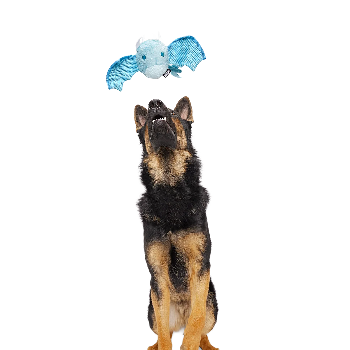 Brrrtha The Dragon Super Chewer Durable 2-in-1 + Tug + Fetch Dog Toy - Image 6