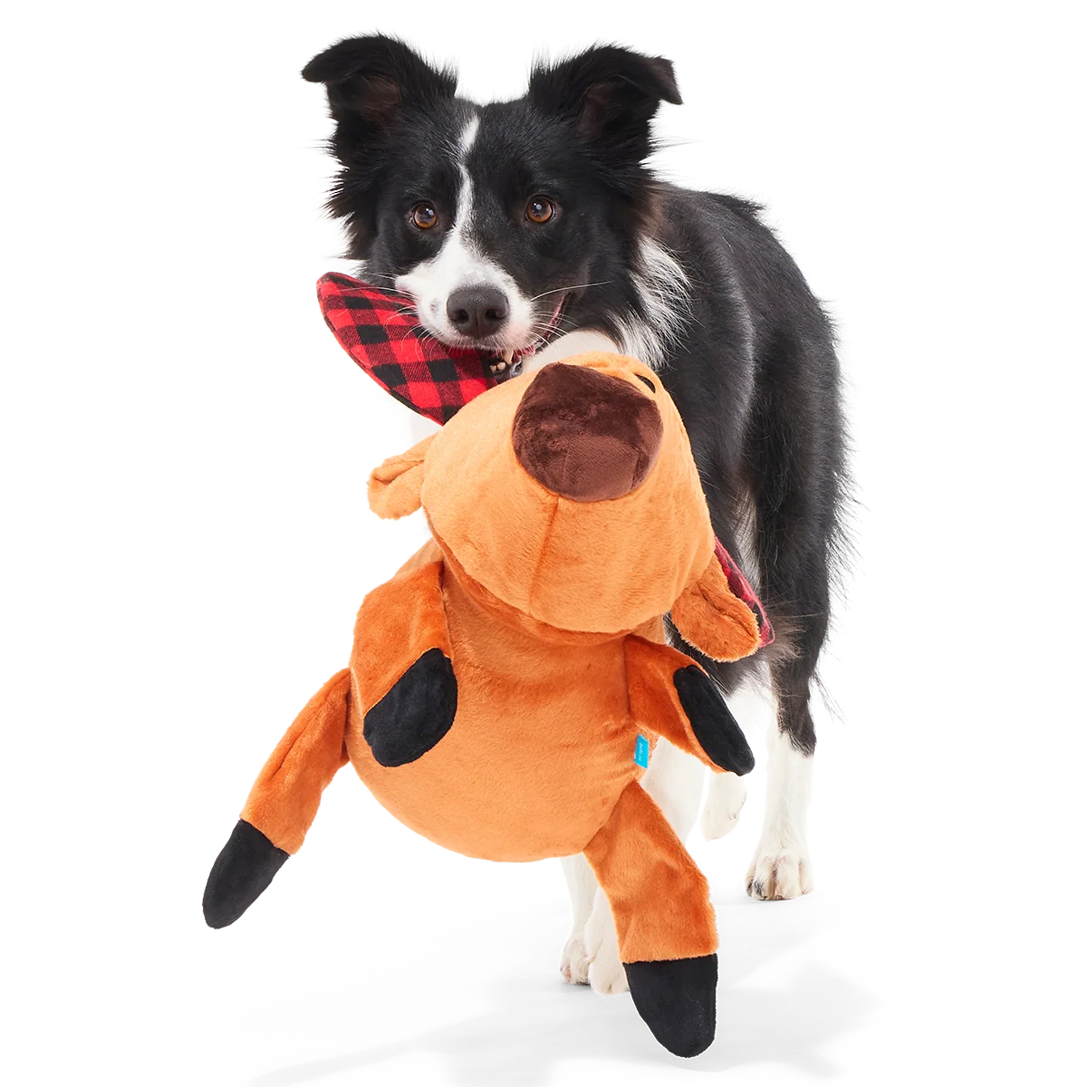 Buffalo Plaid Blitzen Plush Extra-Large + Tug Dog Toy - Image 3