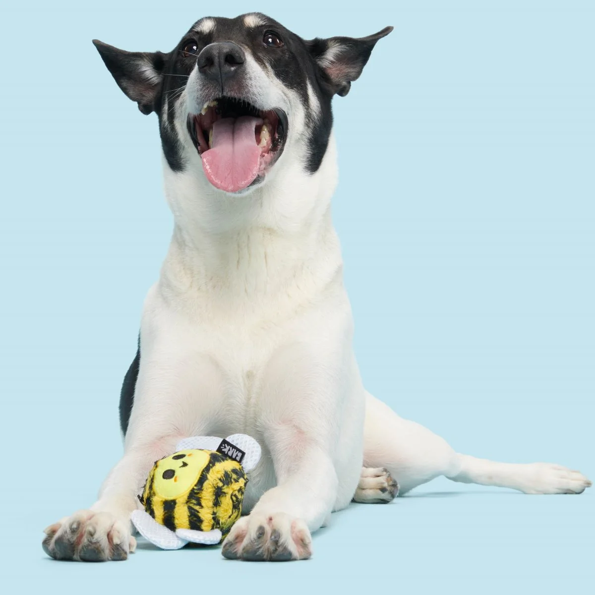 Buzzy Body Super Chewer Durable 2-in-1 Dog Toy - Image 3