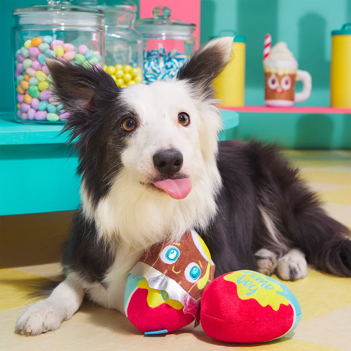 Cadfurry Eggs Plush Multi-Part + Fetch Dog Toy - Image 2