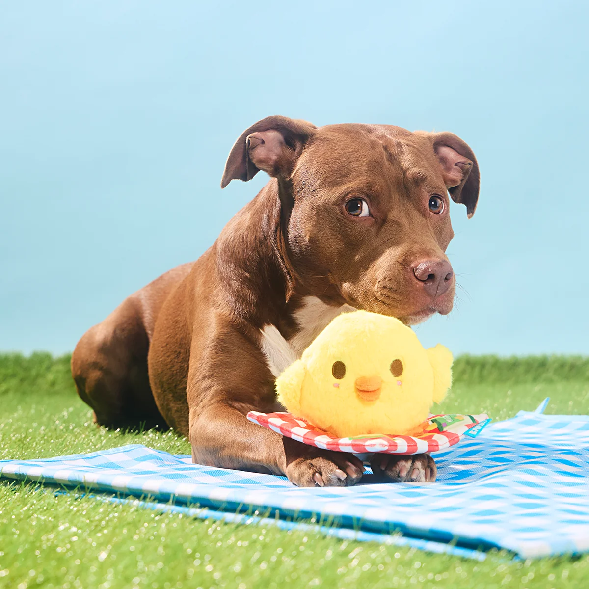 Chick-Nic Plush Tug Dog Toy - Image 4