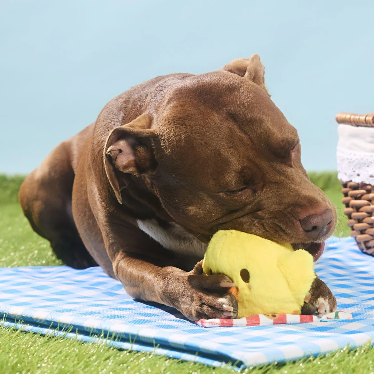 Chick-Nic Plush Tug Dog Toy - Image 5