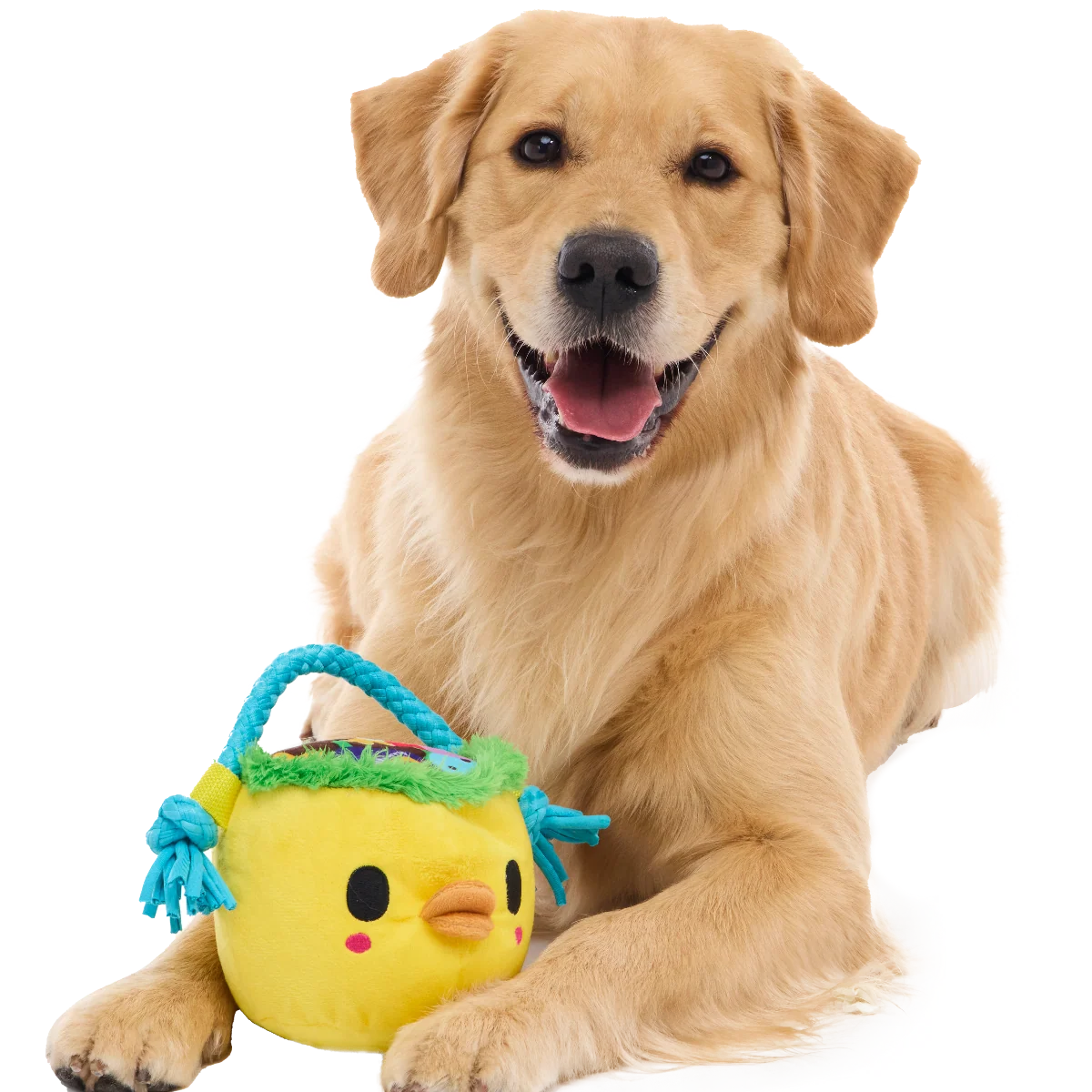 Chicky's Easter Candy Plush Tug Dog Toy - Image 3