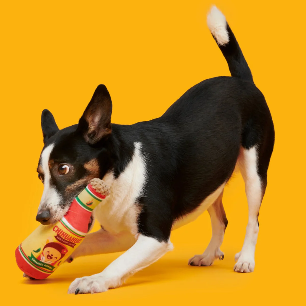 Chihuahua Hot Sauce Plush Tug Dog Toy - Image 4