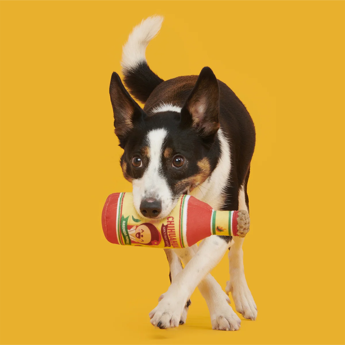 Chihuahua Hot Sauce Plush Tug Dog Toy - Image 5