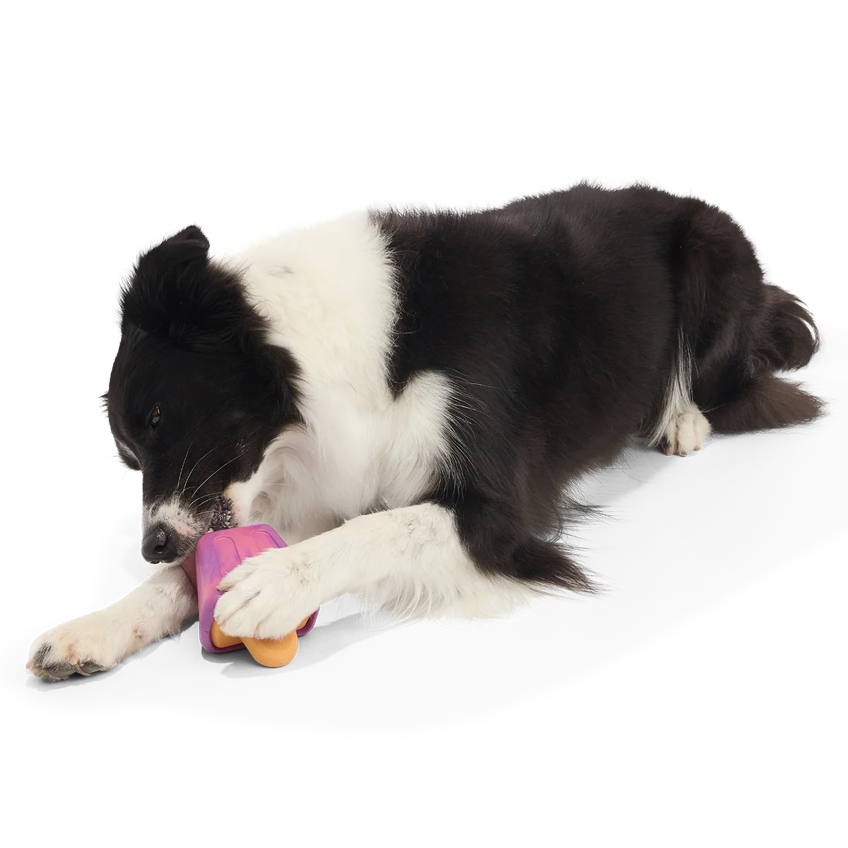 Chill N' Chomp Pupsicle Kit Super Chewer Durable Enrichment Dog Toy - Image 3